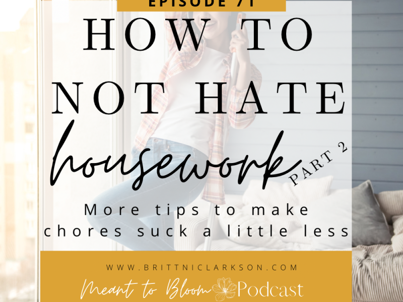 How to Not Hate Housework Part 2 (more tips to make chores suck a little less)